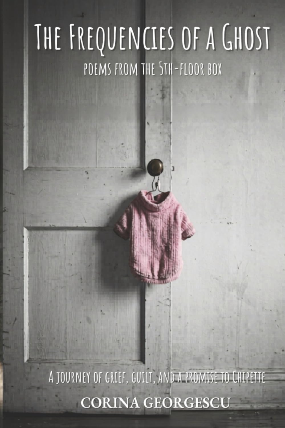 The Frequencies of a Ghost: Poems from the 5th-Floor Box