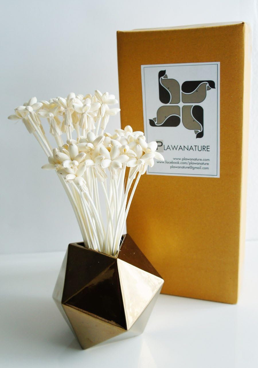 Proudnature Exotic Set of 40 Mini Night Jasmine Sola Wood Flower with Reed Diffuser for Home Fragrance Aroma Oil.
