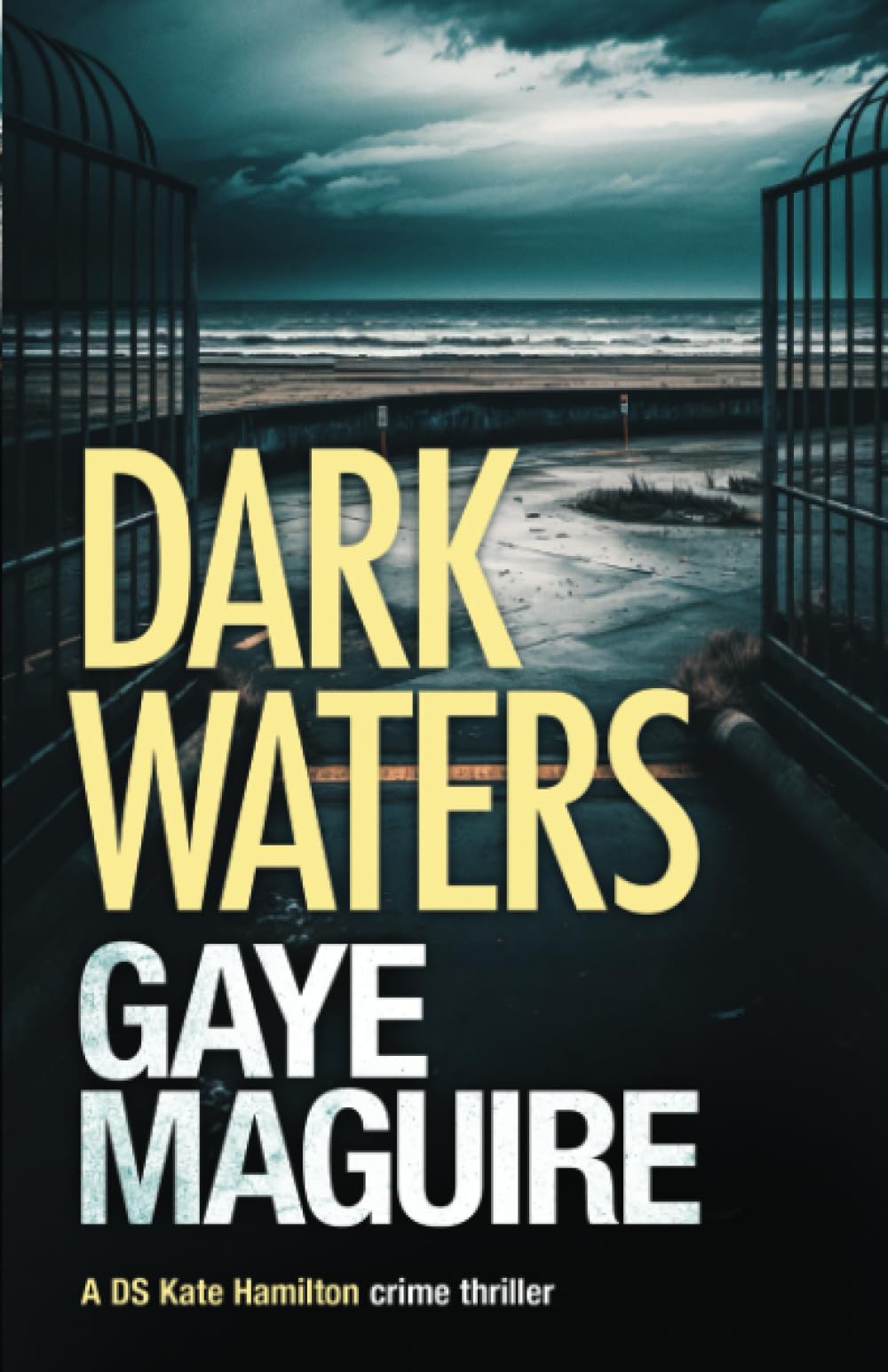 Dark Waters (DS Kate Hamilton Crime Thriller)
