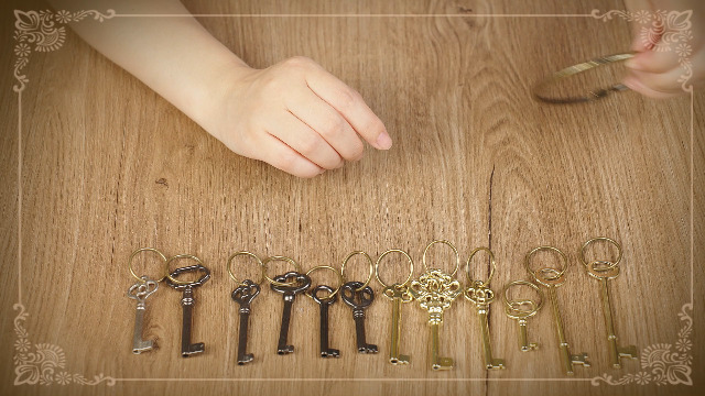 Skeleton Key, 12-Key Universal Hollow Barrel Skeleton Keys