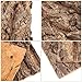 Toddmomy Terrarium Cork Bark: 4Pcs Reptile Tree Bark 20X15cm Hideout Climbing Platform for Snakes Lizards Terrarium Aquarium Decoration Tank Accessories‌