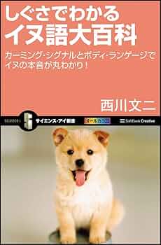 61Du3ibcaCL._AC_UF350,