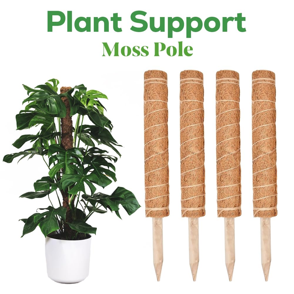 Garden Mile Tall Moss Pole Set of 4, Stackable Coconut Coir Support for Indoor Climbing Plants Monstera - Image 4