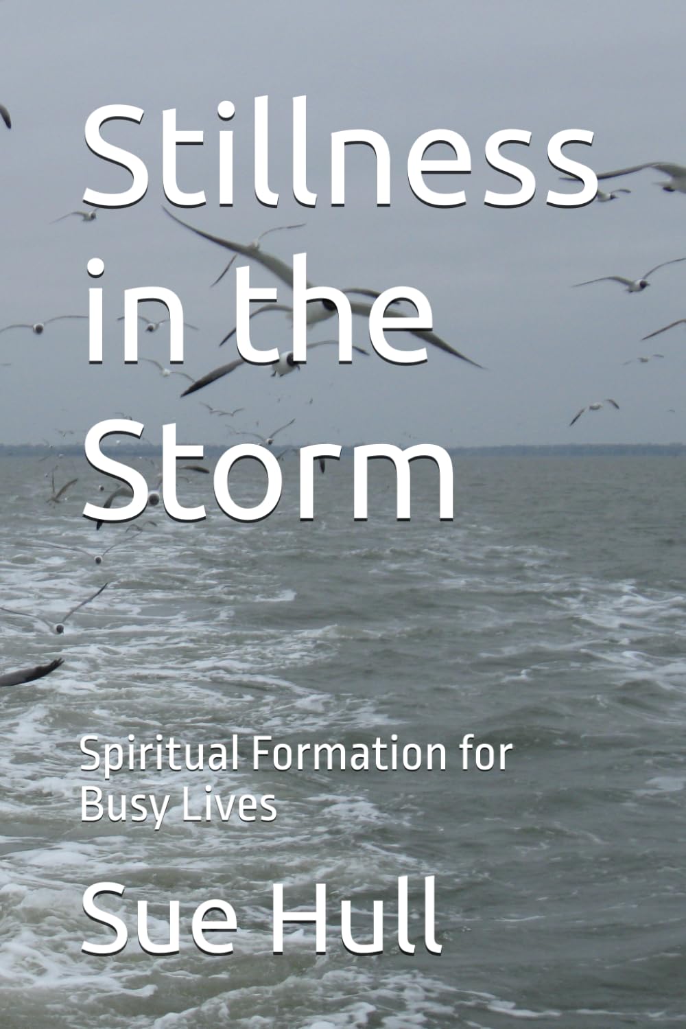 Stillness in the Storm: Spiritual Formation for Busy Lives