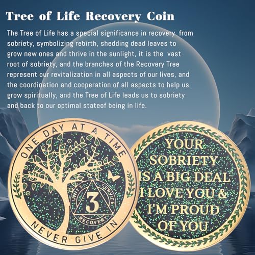 Image of LParkin 3 Year Sobriety Coin, Tree of Life Sobriety Coin, AA Medallion, Sobriety Gifts for Women and Men, Sober Anniversary Token, Alcoholics Anonymous Medallion