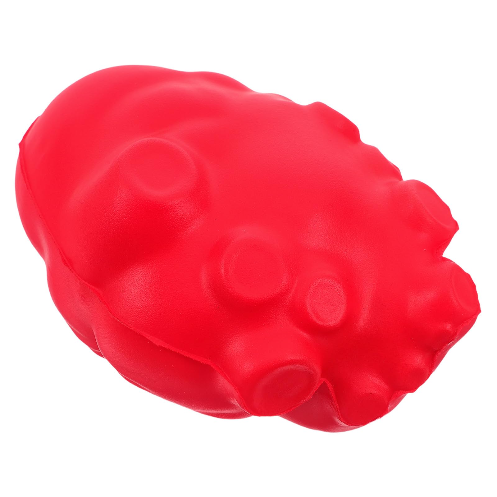 Ciieeo Realistic Human Heart Organ Model for Teaching, Red Anatomy Simulation Prop for Medical Schools, Biology Labs, Science Education, Classroom Learning Aid