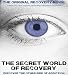 The Secret World of Recovery
