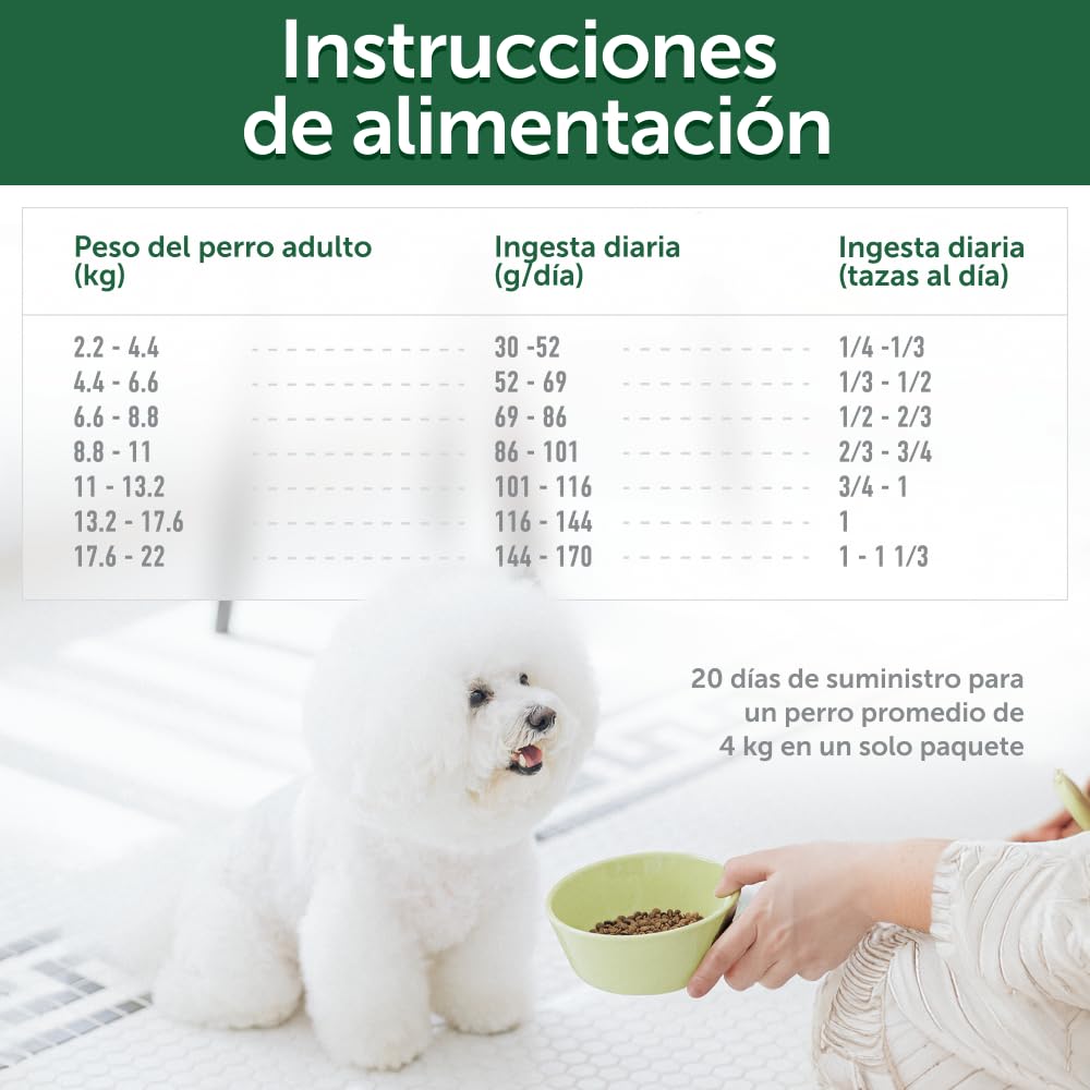 Nature's Protection Superior Care Pienso hipoalergénico, Salmón 10 kg | Digestión suave para estómagos sensibles, Reduce el riesgo de alergias, Sin cereales, Perros adultos, todas las razas