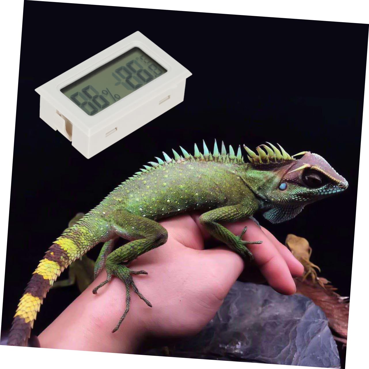 POPETPOP 15 Piezas Termómetro Para Reptiles Inalámbrico Al Aire Medidor De Temperatura Exterior Termómetro Inalámbrico Mini Higrómetro Caja De Reptiles Electrónico Abdominales