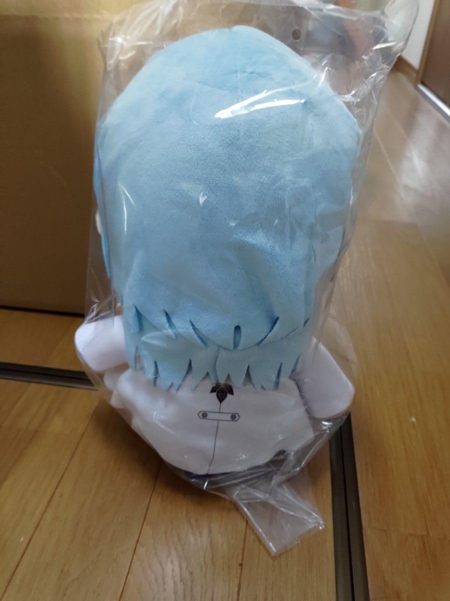 【新品】あおぎり高校 かわりみぬいぐるみ 春雨麗女 Amazon.co.jp: あおぎり高校 かわりみぬいぐるみ 春雨麗女