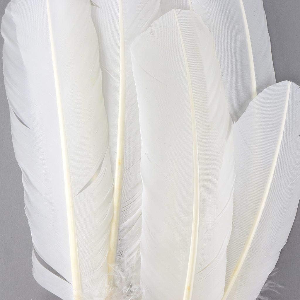 Zucker 10-12 inch Turkey Feathers for Crafts - 4pc Quills for DIY Headdress, Dream Catcher, Home Decor - (White)