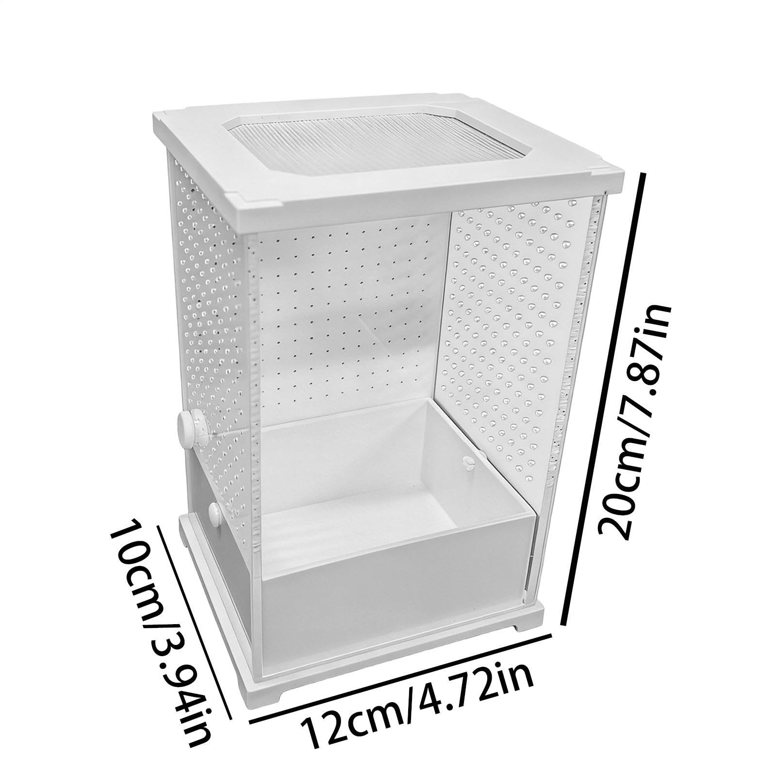 Gabbia Mantide Religiosa 20 Cm - Habitat Acrilico - Box Trasparente Rettili Per Nidificazione Allevamento Alimentazione Osservazione - Piccoli Insetti Animali Da Compagnia Hobbistica