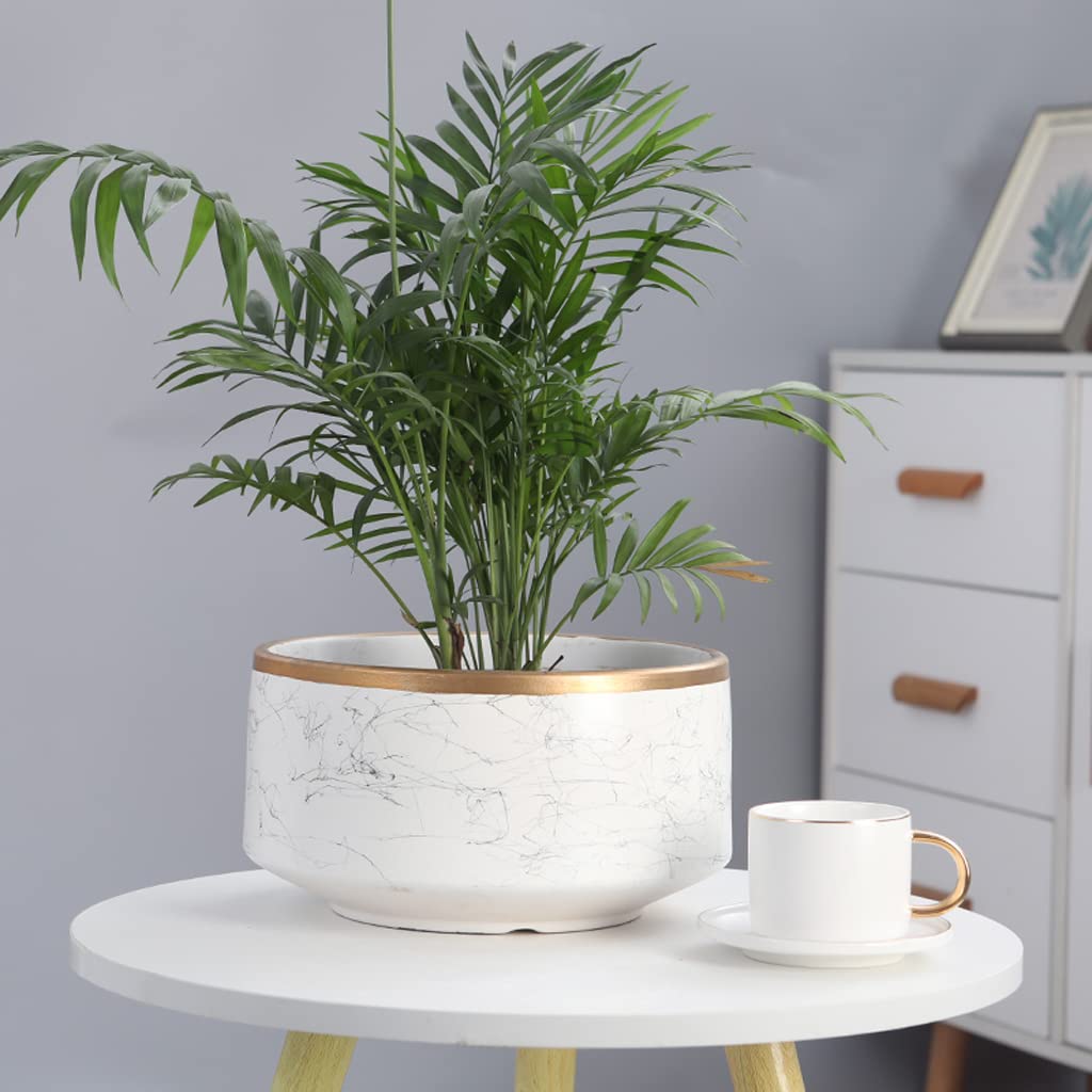 Vasi da Giardino Vaso da Fiori in Ceramica, fioriere per Interni ed Esterni con Foro di drenaggio e piattino, vasi per Piante con Phnom Penh per la Decorazione Domestica, Bianco
