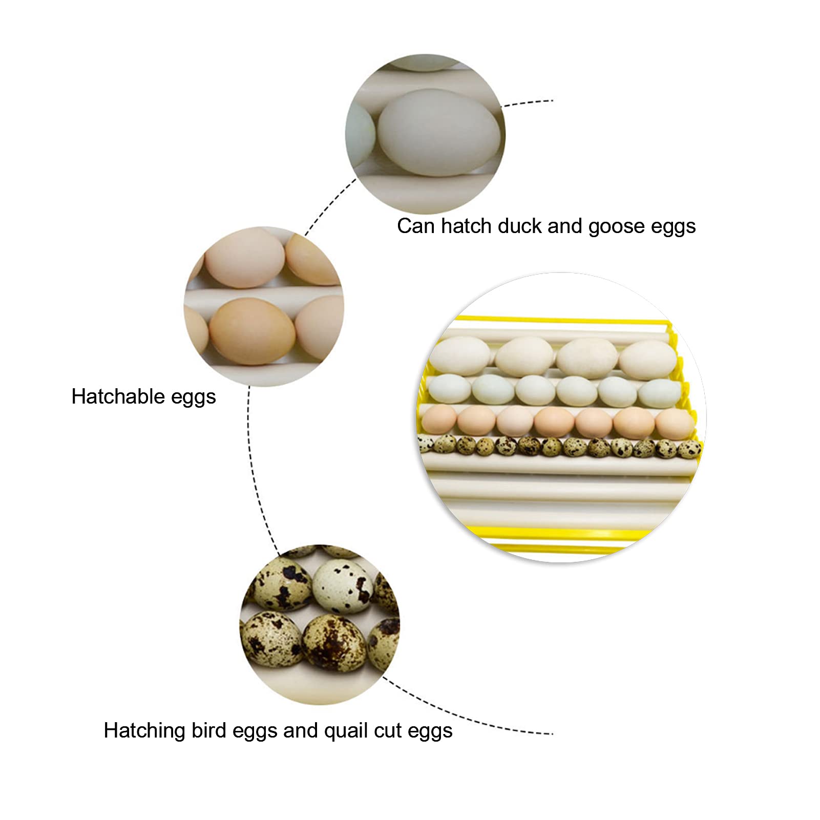 Bandeja Para Incubadora De Huevos Volteador Automático De Huevos De Gran Capacidad Para Incubar Pollos Huevo Pájaro Pato Codorniz[220 V] Bolsas para llevar comida y sándwiches