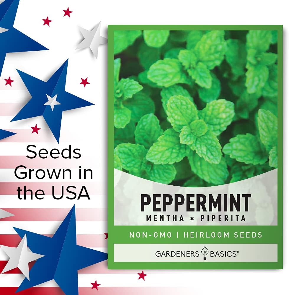 Peppermint Seeds for Planting is A Heirloom, Open-Pollinated, Non-GMO Herb Variety- Great for Indoor and Outdoor Gardening and Herbal Tea Gardens by Gardeners Basics