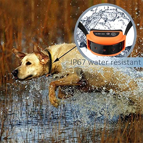 Wireless Dog Fence Collar Fit and Usage