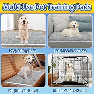 Charcoal Training Pads 100 Count, 22″x22″ Puppy Pads for Small Dogs, Activated Carbon Dog Pee Pads, Disposable Puppy Pads Pet Training Pads