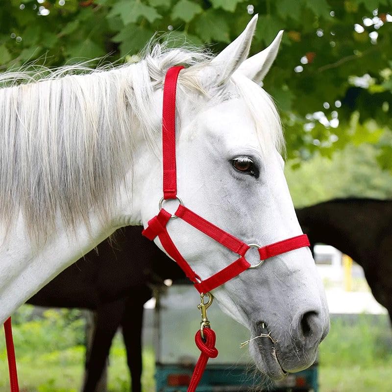 ZRSCHYG Horse Halter, Adjustable Nylon Strap with Metal Hardware