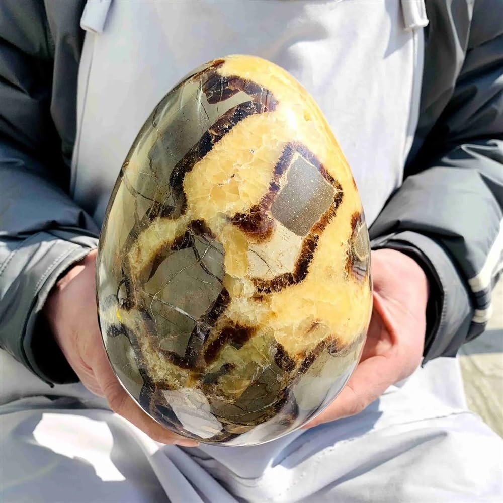 RVBLRDSE Septarian Dragon Calcite Crystal Egg Sphere Home Decor(210-300g) Gemstone Stone