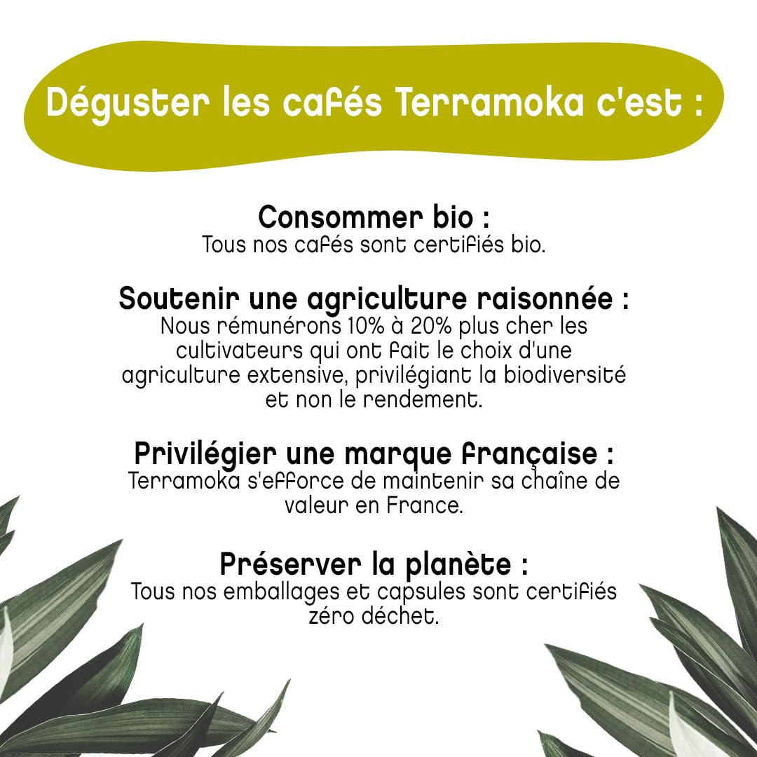 TERRAMOKA - 1,25 KG Café Moulu Bio d’excellence (5 * 250g) - 80% Pur Arabica du Mexique et Brésil & 20% Robusta de Tanzanie - Savoureux et Persistant - 100% Recyclable - Arthur - Torréfié en France