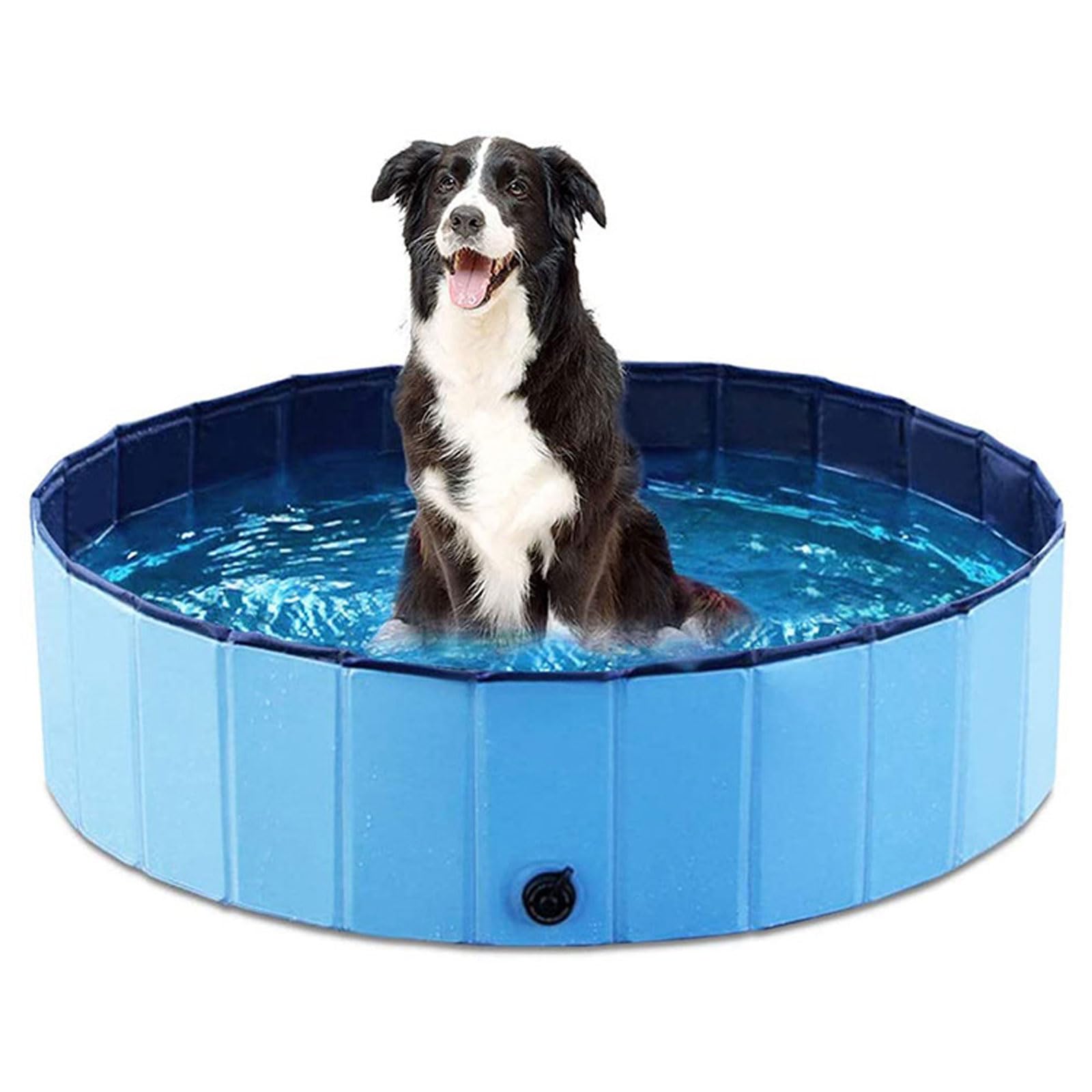 Piscina per Cani Piscina Pieghevole Non Gonfiabile in PVC Vasca Portatile Interattiva con Scarico Grande Vasca Rigida e Rotonda per Cani Gatti Cuccioli Animali 160 * 30CM
