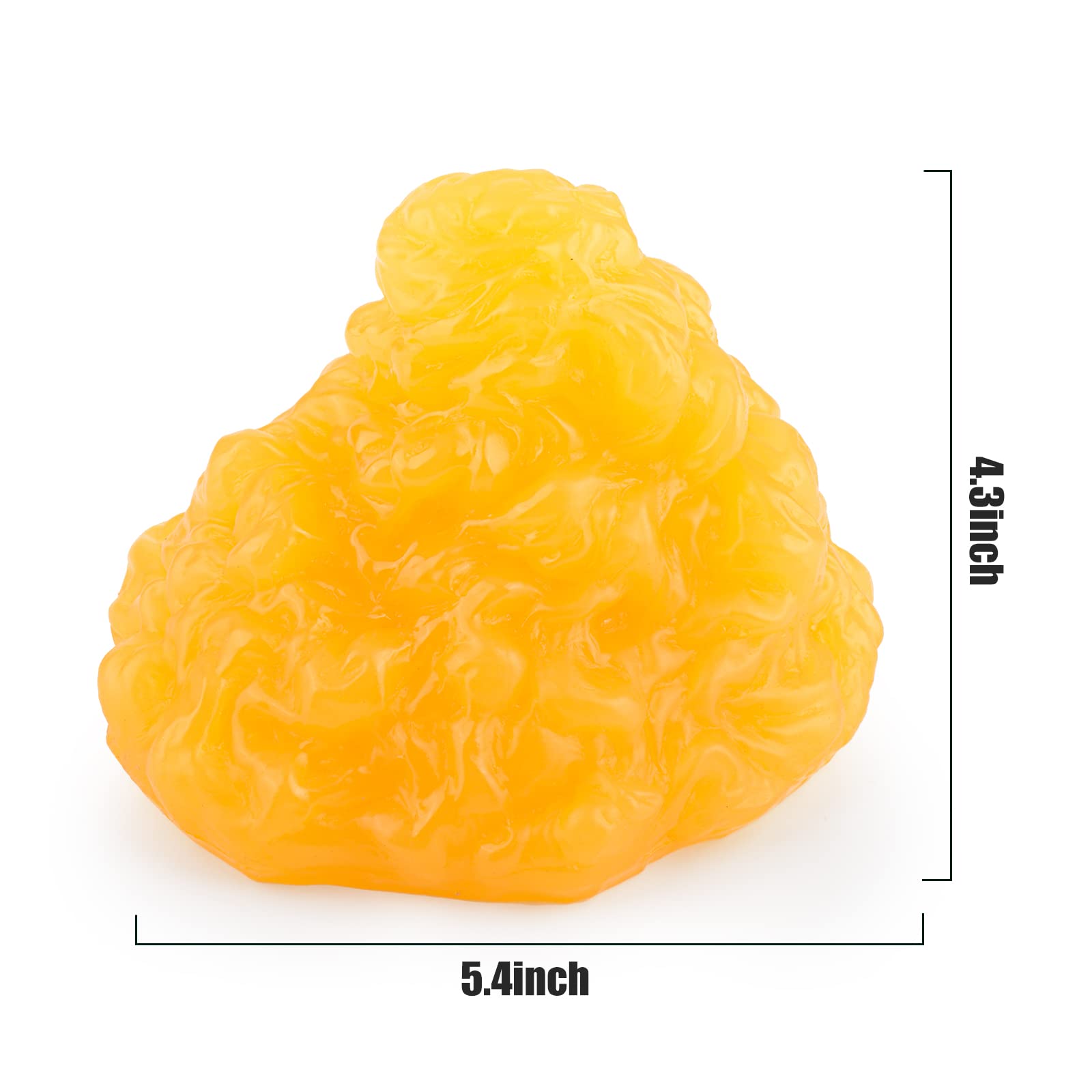 SimCoach Fat Replica 0,5 kg & Muscle Replica 0,5 kg con base display, ottimo motivatore e promemoria per fitness, modello demosrtation per nutrizionista, modello anatomico per studenti di medicina