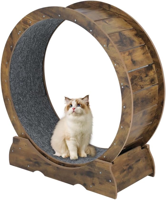 ARADNEO Cat Wheel,Cat Running Wheel ，Large Cat Wheel