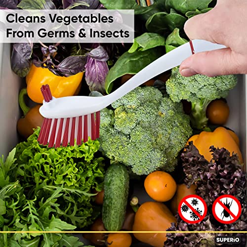 Image of Superio Fruit and Vegetable Scrub Brush with Long Handle - Dish Cleaning Brush, Double Sided Scrubber, Non Scratch Kitchen Scrub Brush for Fruits /Potatoes /Veggies, Sinks, Bath (2, Red)