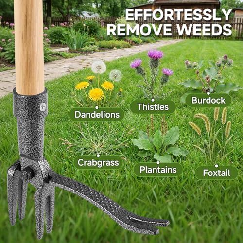 Niulight Heavy Duty Stand Up Weeder