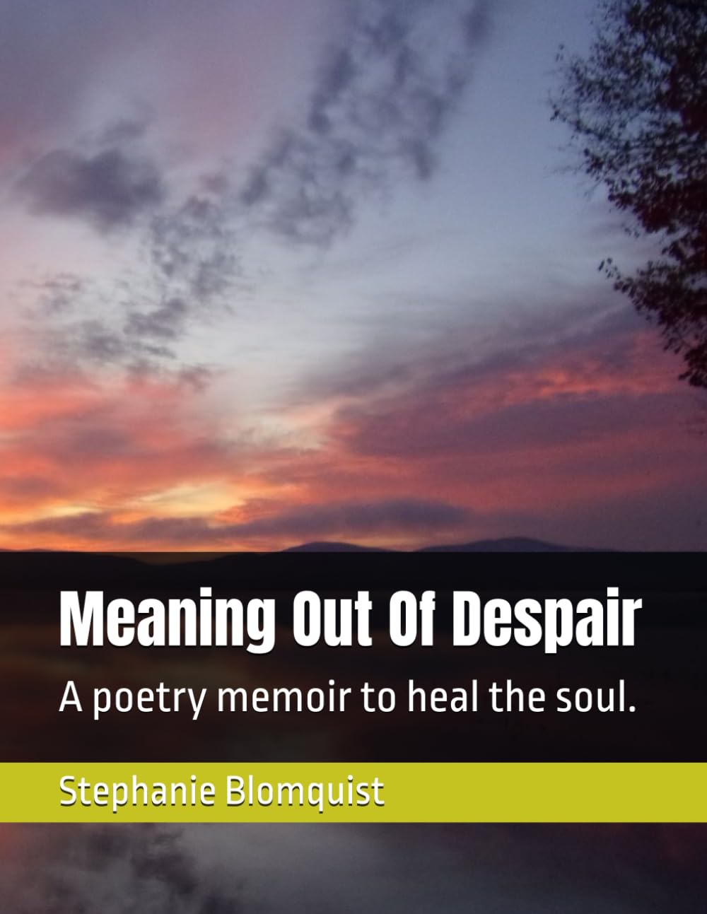 Meaning Out Of Despair: A poetry memoir to heal the soul.