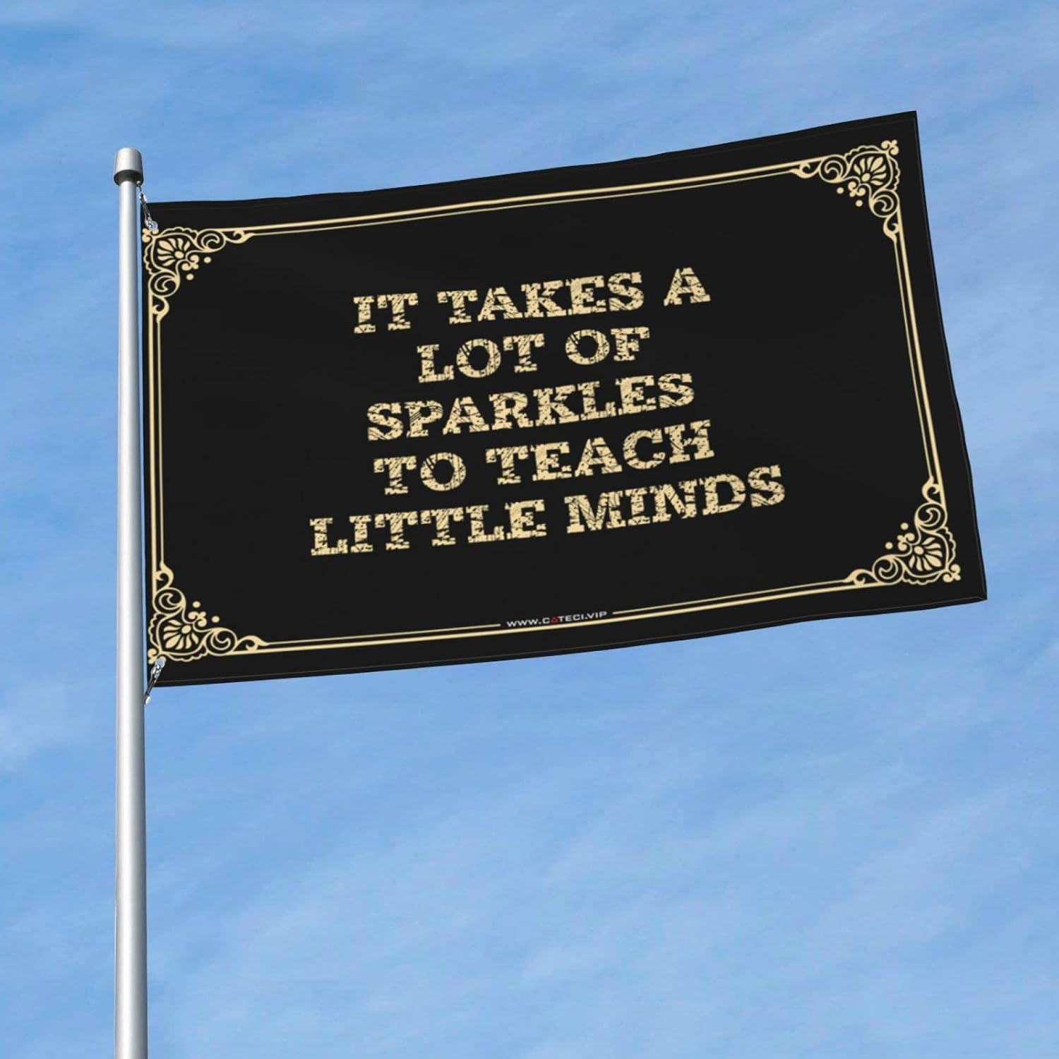 Cool Flags For Room Guys It Takes A Lot Of Sparkles To Teach Little Minds Flag Rv Flag Happy Camper Gifts (Color : Colour, Size : 152X244CM)