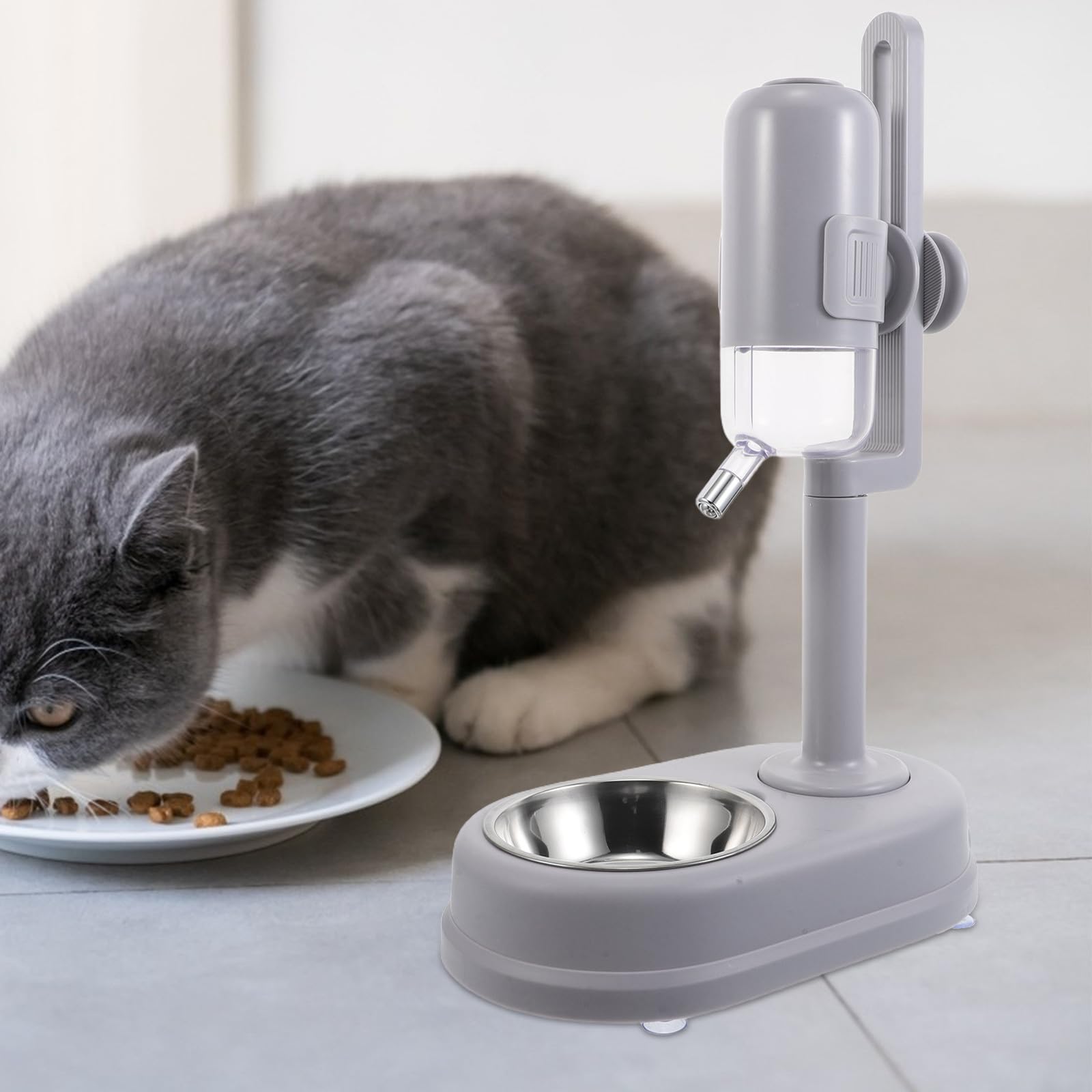 Gamelle Double pour Animaux de Compagnie Distributeur D’Eau 750 ML