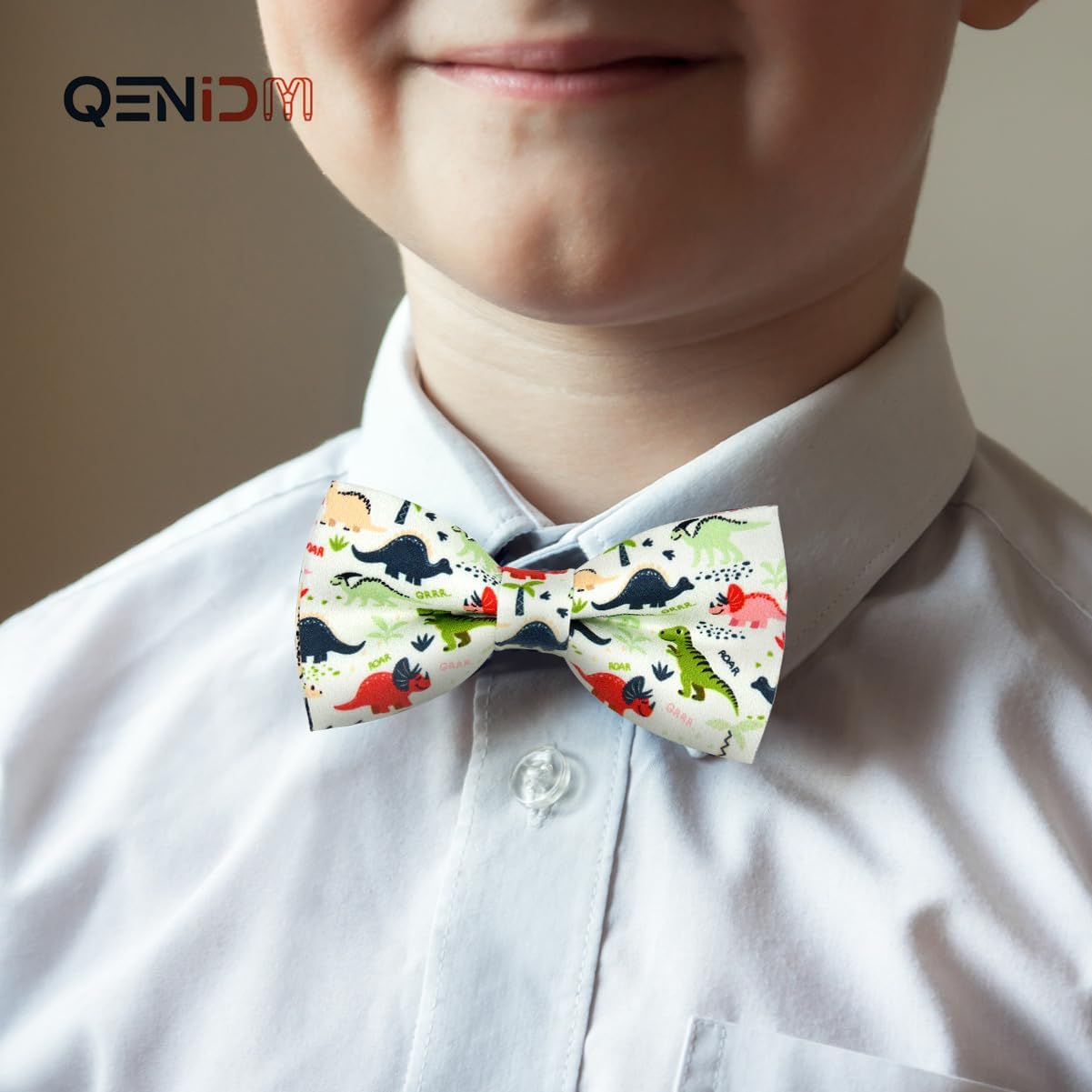 Dinosaur Boy Bow