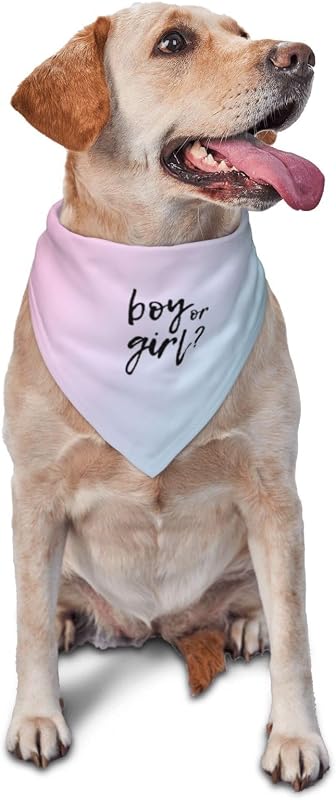Bandana para Cães He Or She para Revelação de Gênero e Fotos vercosee (Gradiente)