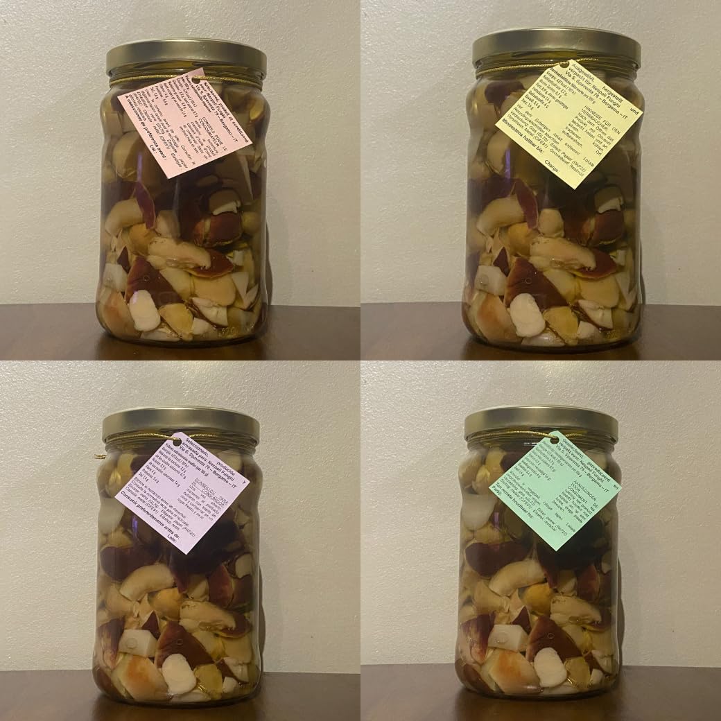 Boletus cabeza negra cortados en aceite de oliva 1,6 kg a granel – formato grande para compartir, ideales para aperitivos, tapas y regalo gastronómico