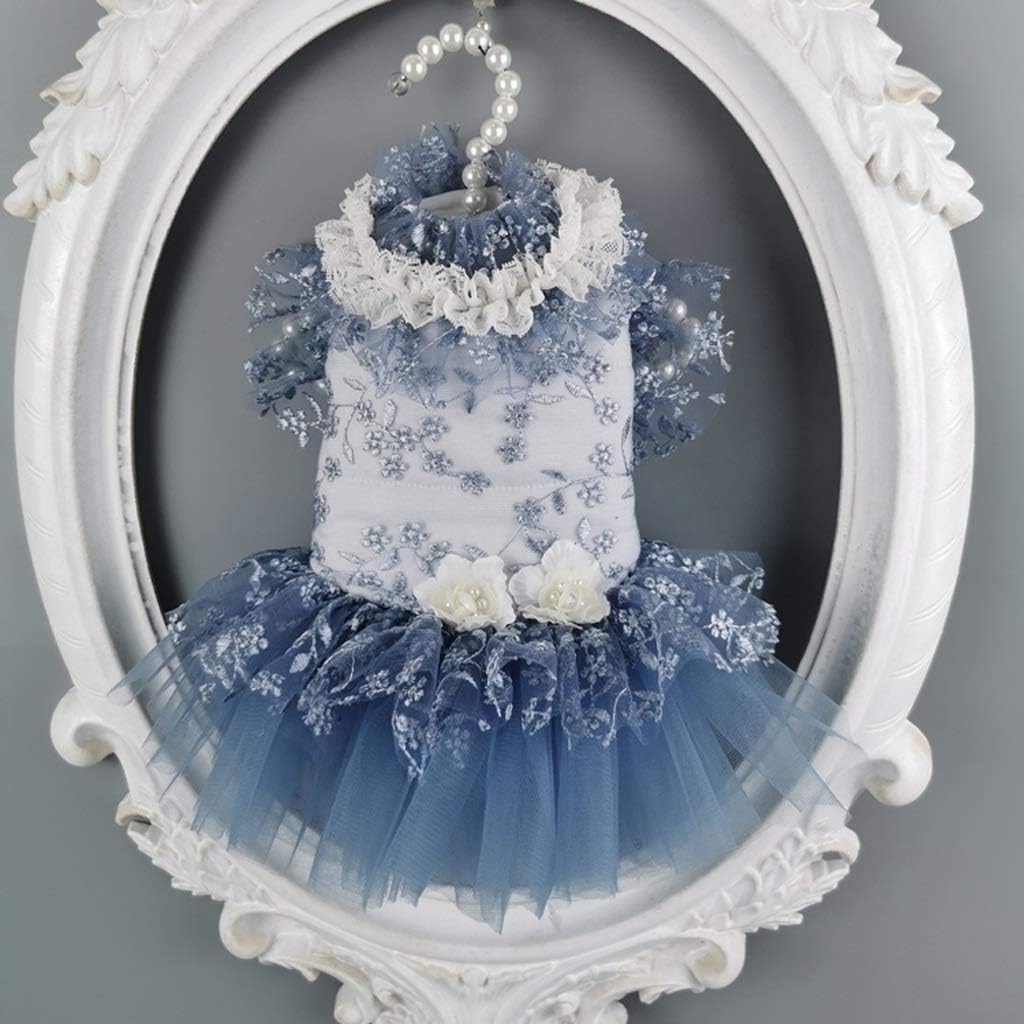 楽天市場】犬 服 可愛い セット販売 誕生日 ドレス 記念写真 紫 スタイ