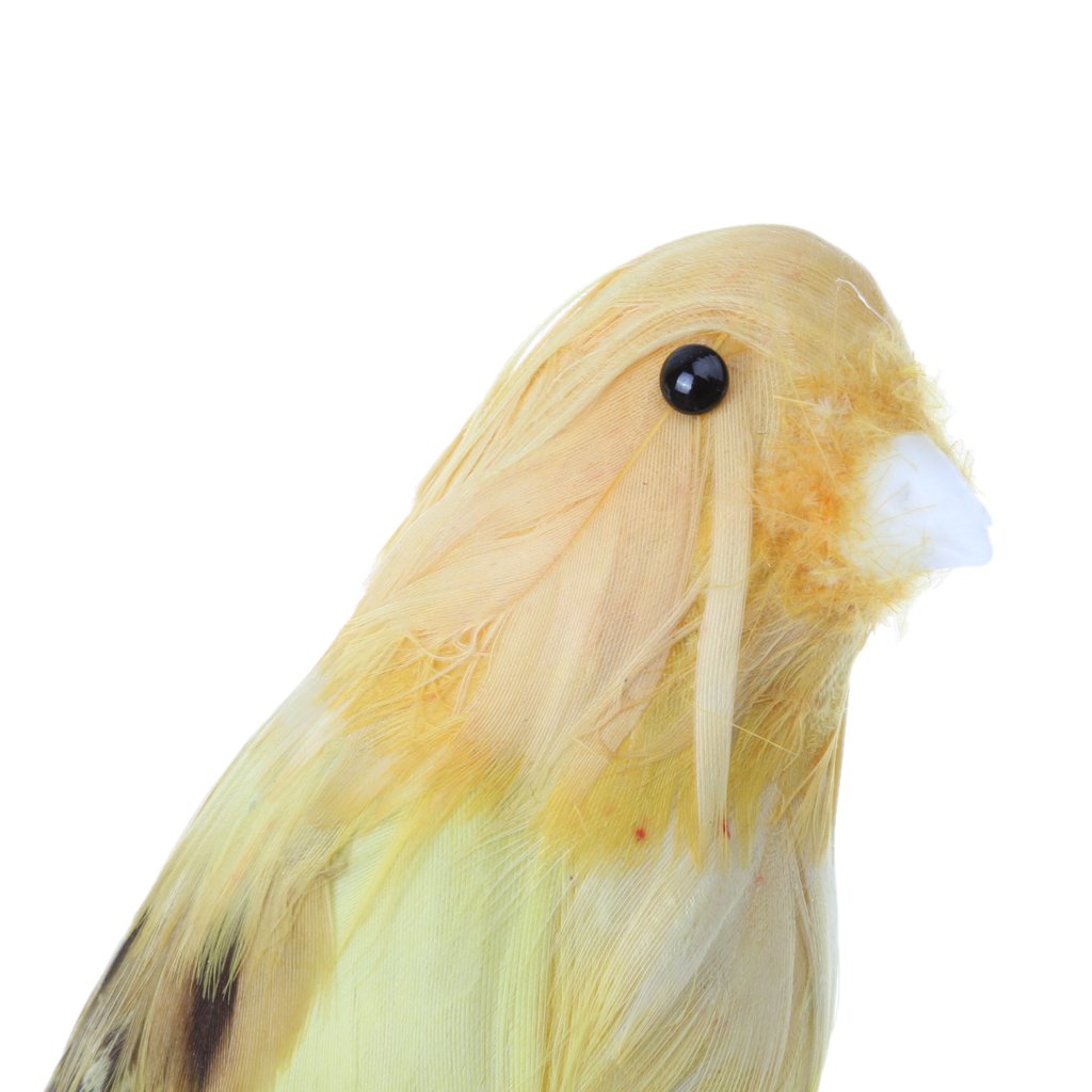 12 Mini Moineaux Artificiels à Plumes - Déco Oiseaux Taxidermie