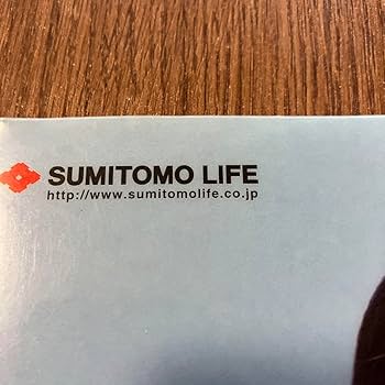 Amazon.co.jp: 松嶋菜々子 住友生命 クリヤファイル : ホーム