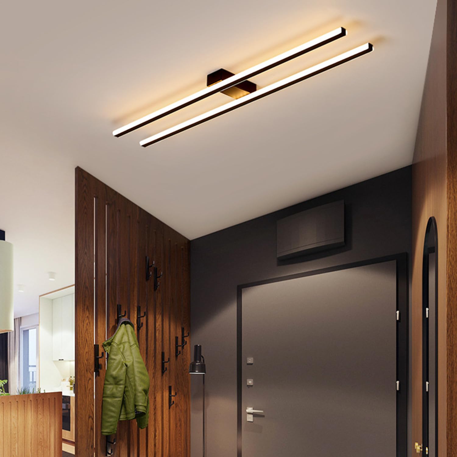 Deliouay Modern Decorative Lights, dimmable LED Ceiling Lights, Studio Ceiling Lights, Corridor Lights, Creative Indoor Ceiling Lights, Entrance Lights, Wardrobe Lights (Black, Ø78cm)