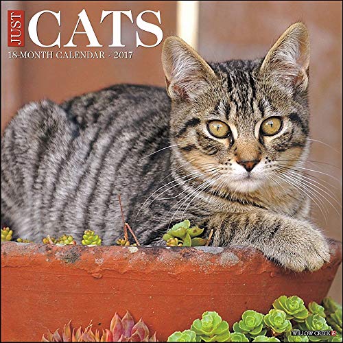 Just Cats 2017 Wall Calendar