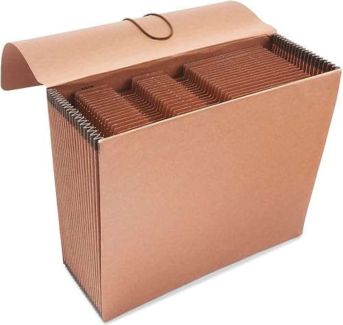 Staples Cartera expandible reforzada resistente, cierre de solapa y cordón, tamaño carta, paquete de 2 (ST595372-CCVS)