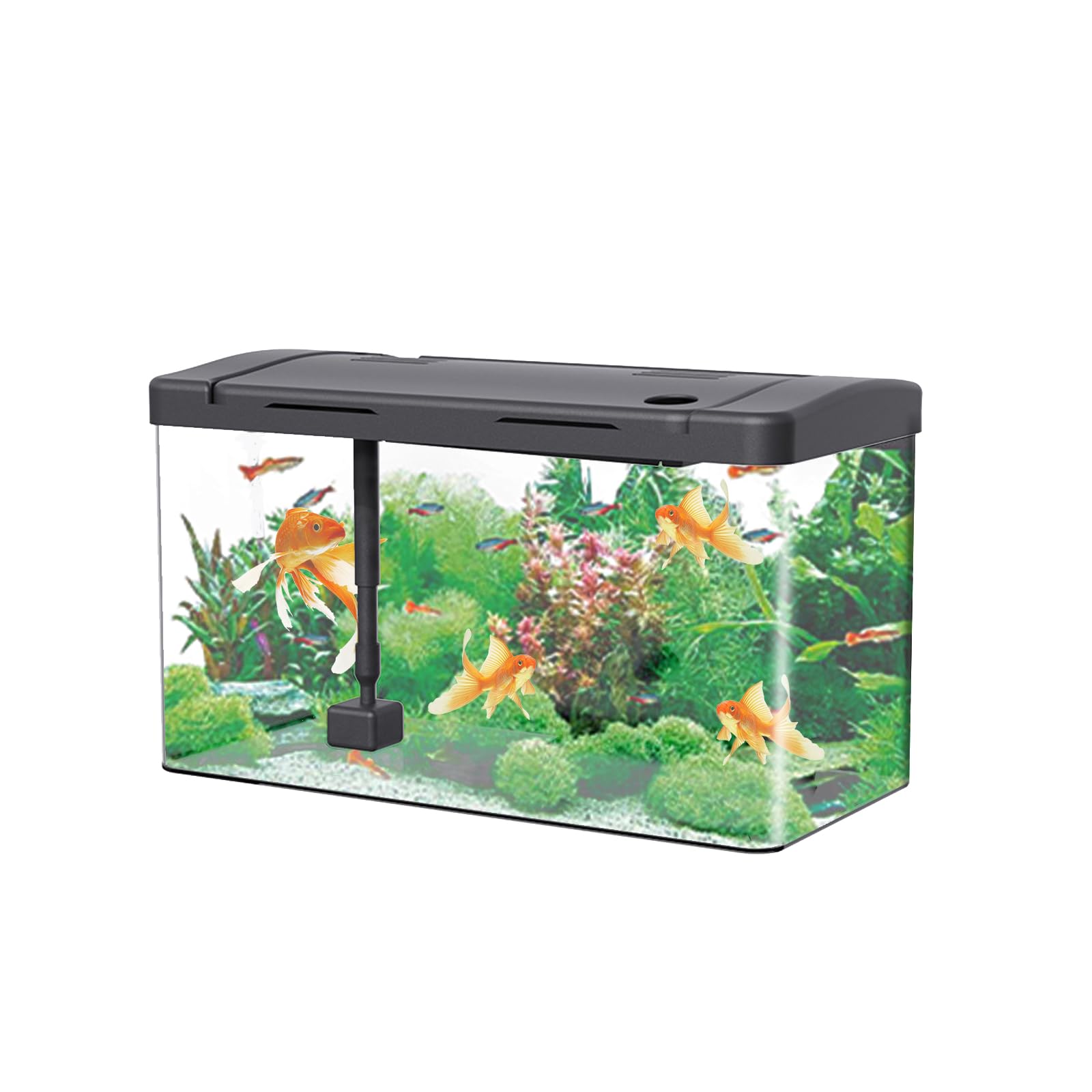 Fish Tank Acrylic Aquarium 25L (45 x 22 x 24 Cm) Fish Breeding Box, Fish Bowl With Fish Tank Filter and Oxygen Supply, LED Lights, Goldfish Turtle Shrimp Tank for Home Office Living Room