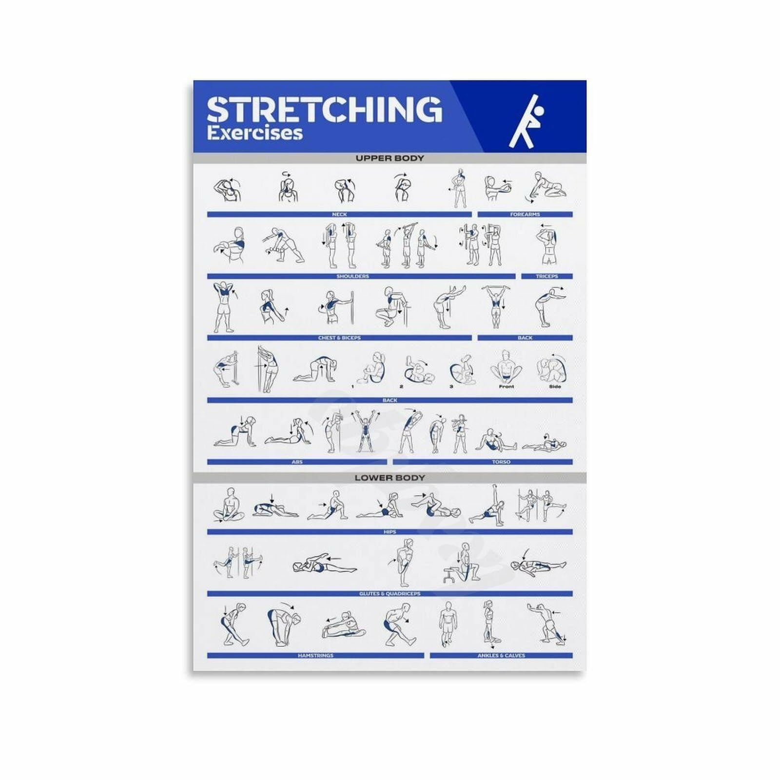 Routine de flexibilité du matin poster contre le mal de dos et les raideurs matinales