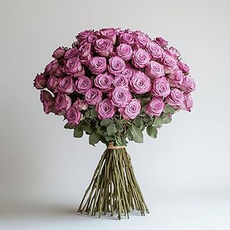 GlobalRose 50 Lavender Roses Bouquet - Responsibly Sourced Roses Fresh Flowers - Hand-Picked Flowers Fresh Bouquet for Graduation, Anniversary, Birthday & Special Occasions (2 Bunches of 25 Stems)
