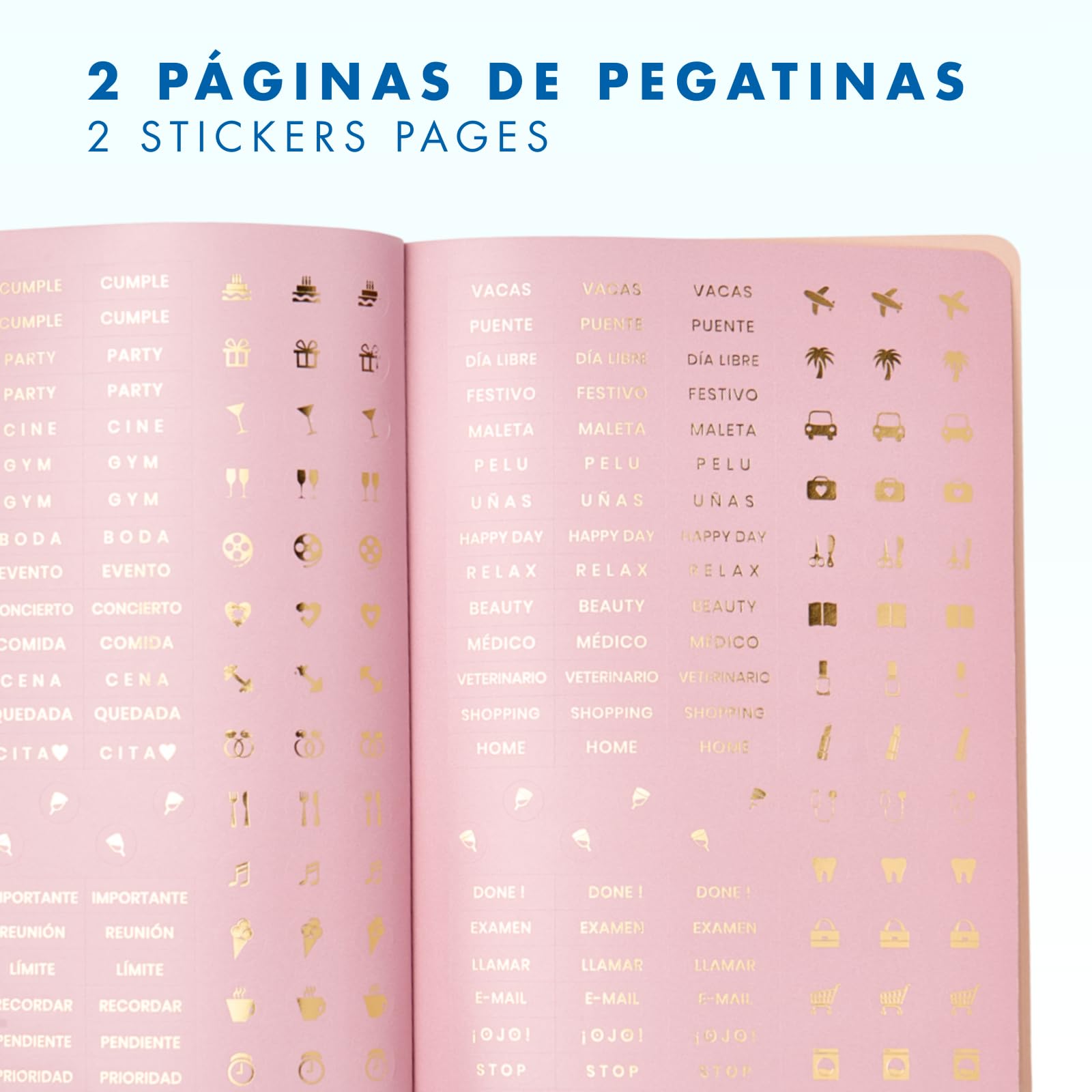 Agenda Scolaire 2026 2027 Septembre à Juin Semaine Vue A5 15x21 cm Langues ESP ENG FRA ALL Couverture Souple Simili Cuir Fermeture Élastique Avec Stickers Green Mousse