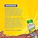 Carnation Breakfast Essentials High Protein  Ready-to-Drink, Rich Milk Chocolate, 8 fl oz (Pack of 24) (Discontinued by Manufacturer)