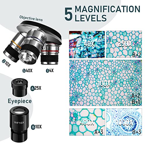 Binocular Microscopes, 40X-1000X Binocular Compound Microscope | Shop ...