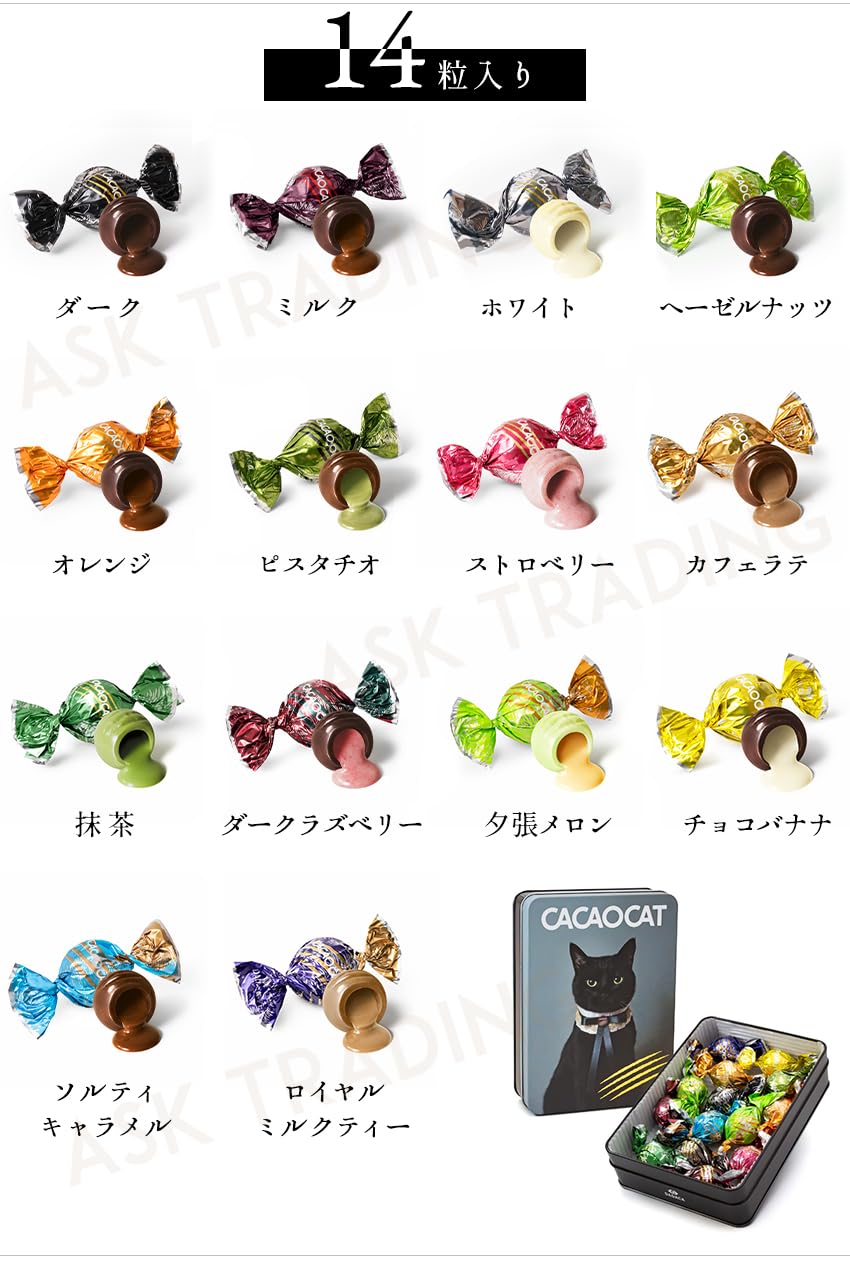 Amazon.co.jp: DADACA カカオキャット CACAOCAT チョコレート 黒猫缶