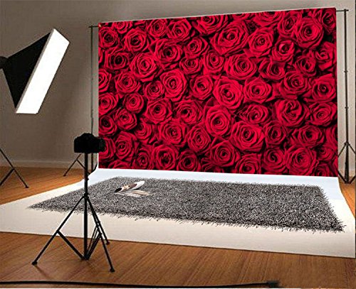 Fondo decorativo de rosas rojo 10x6.5ft para fotografía miniatura 2