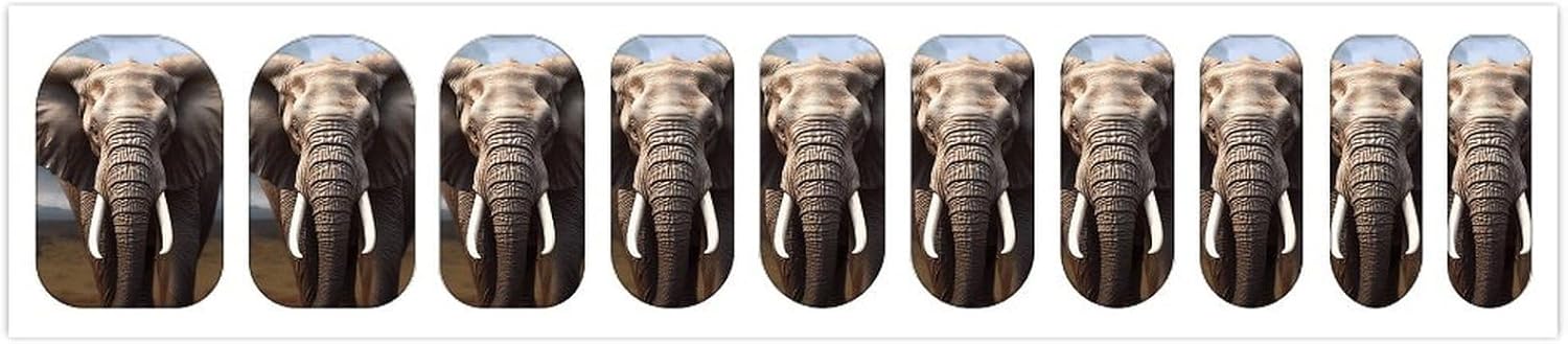 Nail Strips Bundle Full Wrap Long Lasting Nail Polish Strips Easy Application and Removal Salon Quality Self Adhesive Art Stickers for Women Gifts